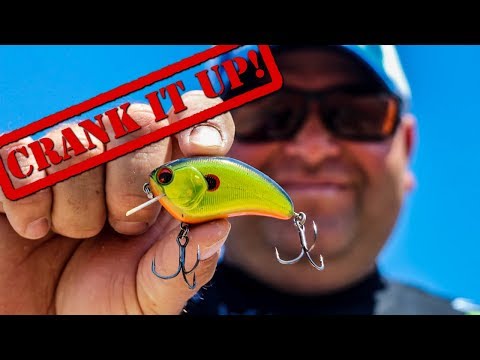 How to Fish Shallow Crankbaits for Big Bass