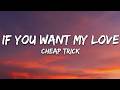 Cheap Trick - If You Want My Love (Lyrics)