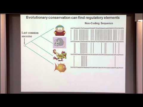 Introduction to Regulatory Genomics and Epigenomics I: Intro to the Biology of Gene Regulation