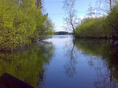 Tiistain pullon palautus & Iltaa