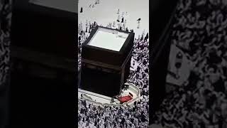 Download lagu meccamadina masjid haram #islamicshort #meccamadina #viralshort #hajj2024 #viralshorts mp3 Download lagu meccamadina masjid haram #islamicshort #meccamadina #viralshort #hajj2024 #viralshorts mp3