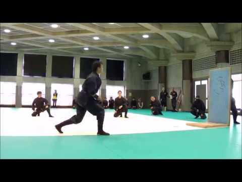 Bujinkan Embu in Ayase Shuriken-jutsu (throwing star)