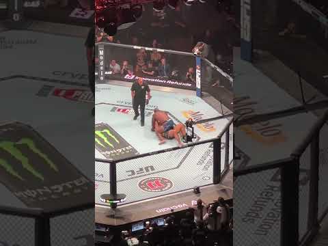 Derrick Lewis vs Marcos Rogerio de Lima. UFC 291-Delta Center