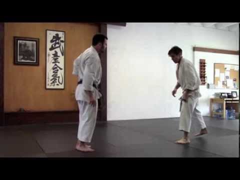 Karate Rotational Kick Rick Hotton