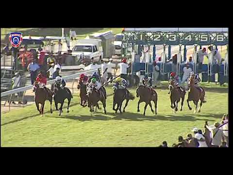 RM38 R8 | Sand Path | J.Watson