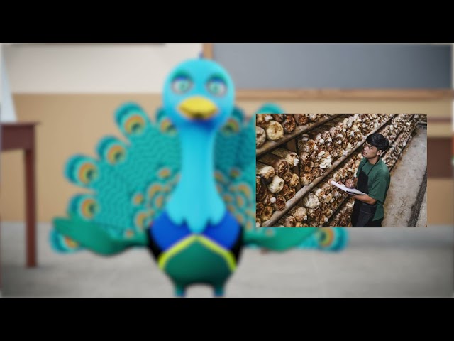 thumbnail of the course