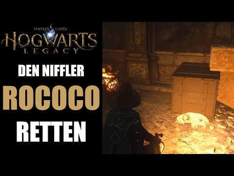 Hogwarts Legacy: The Rescue of Rococo Solution - Find and return the Niffler