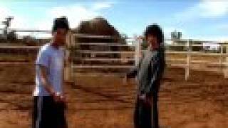 Hard[NSW] Chapter 4: Camel shuffle