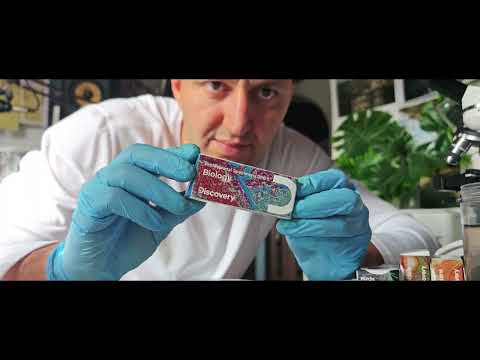 Микроскопы Levenhuk Discovery Atto – обзор автора проекта «Мир глазами микроскопа» Романа Камбурова