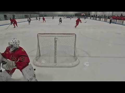 Logan LaValley, freshman goal tender, Castleview Sabercats, Tier 1