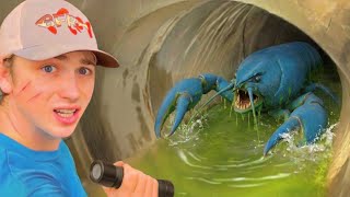 I Found Rare Creatures in a Hidden Tunnel…