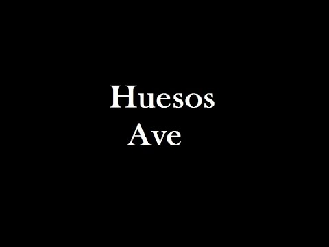 Huesos - Ave - Cover