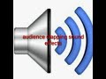 Audience Clapping Sound Effect
