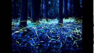 Richard Burmer Nightland