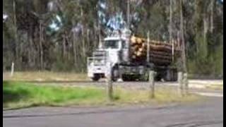 Native forest logging has lost public support
