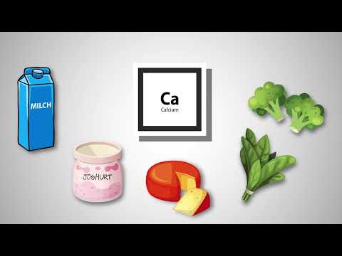 Der Weg des Phosphats