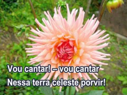 Terra Feliz - 614 - Harpa Cristã.mpg