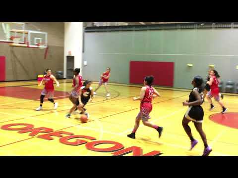 4-21-18 Team Concept Vs Lady Local Hoops 6/11