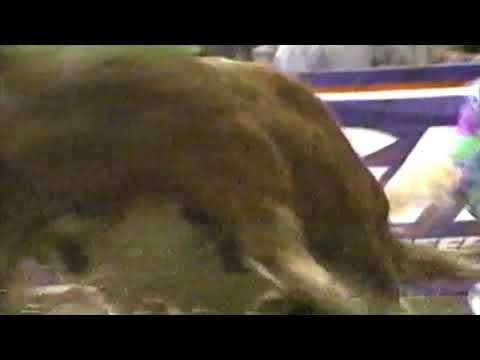 Gilbert Carrillo vs Honky Tonk - 97 PBR Billings (84.5 pts)