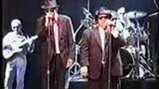 Blues Brothers Live Again