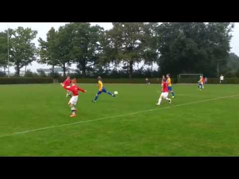 Blauw Geel D5 - Rhode D3