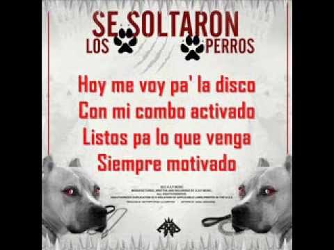 Se Soltaron Los Perros - A.X.P (Video Lyric)