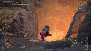 Monster Hunter Wilds_初めてのヘビィ