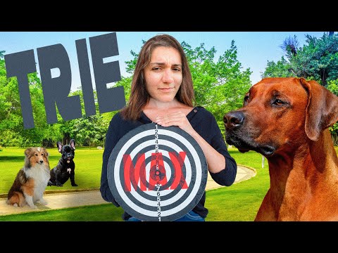 (CS50) TRIE - PRACTICE PROBLEMS WEEK 5 | SOLUTION