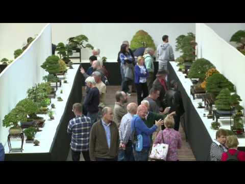 Bonsai Europa 2017 Promo