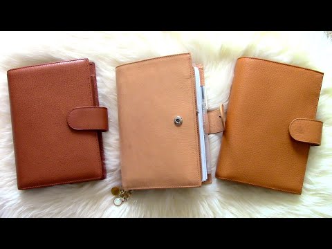 Gillio: Medium compagna and Medium Amica comparison | LittleRachPlans