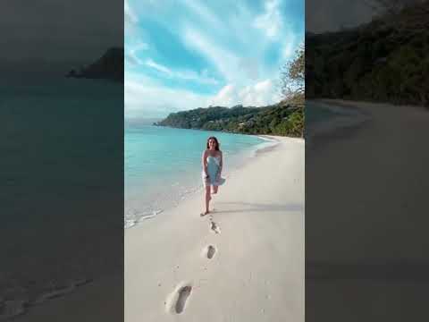 نسرين طافش نزلت للبحر