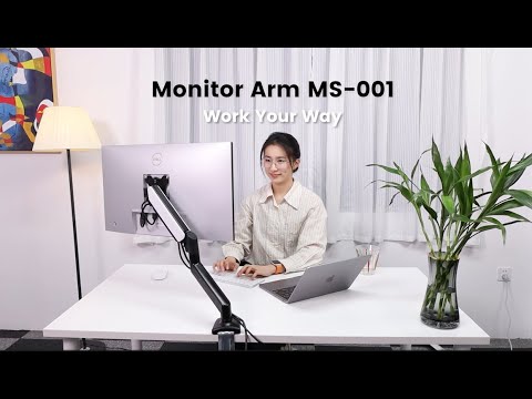 Introducing: Monitor Arm MS-001