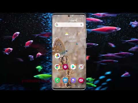 Samsung Galaxy S20 : How to turn on or off auto HDR camera (Android 11)