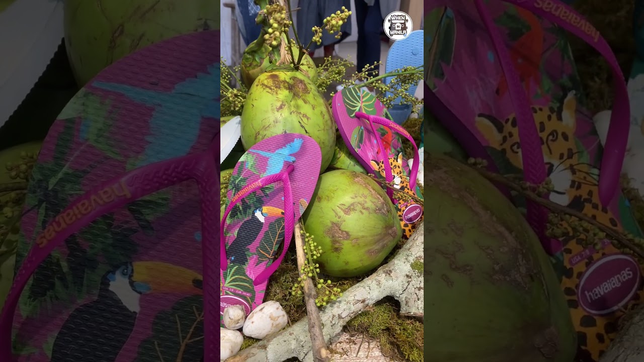 Havaianas Philippines 2025 Summer Collection