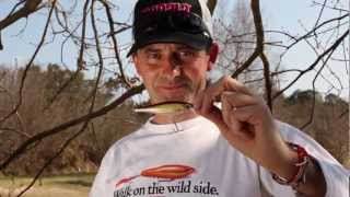 Rapala BX Minnow 10 SMT