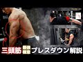 【あえて胸を張らない?】腕を太くする極意解説プレスダウン