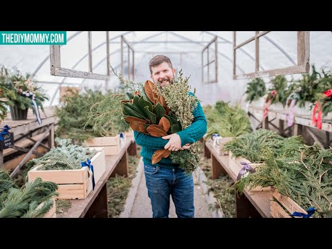 download lagu mp3 mp4 Christmas Greenery, download lagu Christmas Greenery gratis, unduh video klip Christmas Greenery