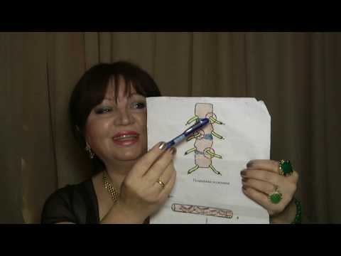 Video 2
