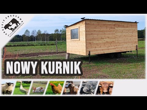 Lubuskie Angusowo - S5 E9 - New henhouse