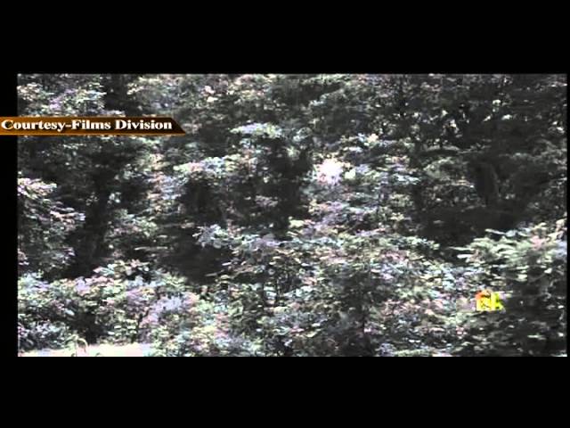 Chandra Shekhar Azad Degree College video #1