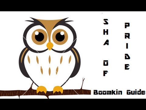 Sha of Pride - 10 Man Normal - Boomkin Guide
