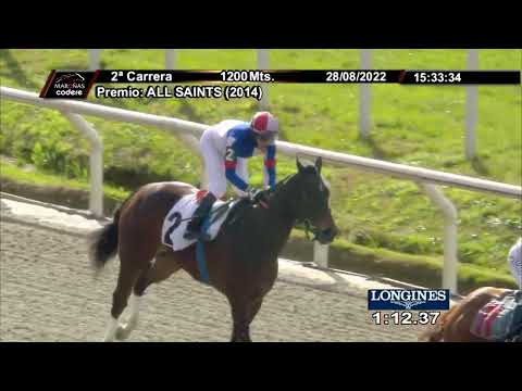 220828 c02 LOGARITMICA