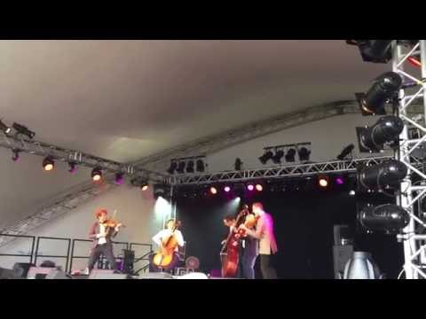 Vołosi Live at Womad 2016