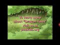 PBS Dragon Tales Season 1 Ending Credits And Fundings 2000 2001