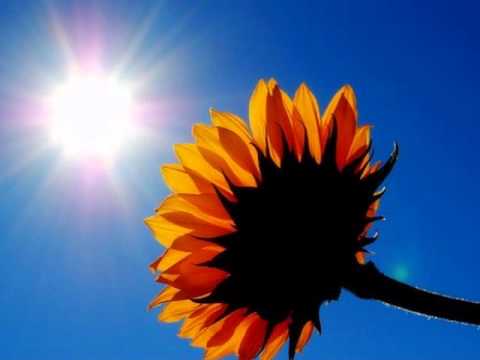 Krystyna Pronko -=-  08 Specjalne okazje [1980]