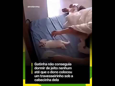 GAYINHA SÓ DORME COM TRAVESSEIRO, VEJA: #youtube