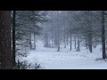 Relaxing Heavy Snowfall 4 Hours Calm Breeze And Falling Snowflakes