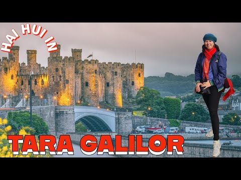 Hai hui in TARA GALILOR !