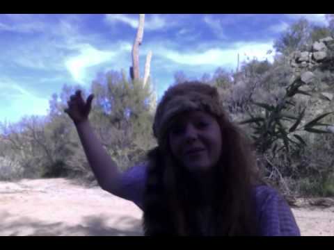 ROY G BIV the Singing Rainbow