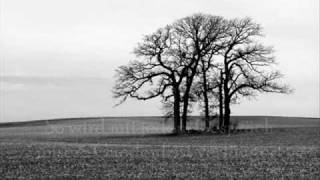 Curse mit Silbermond - Bis zum Schluss Lyrics